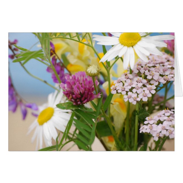 Sommer (Vorderseite (Horizontal))