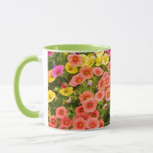 Sommer 2026 tasse