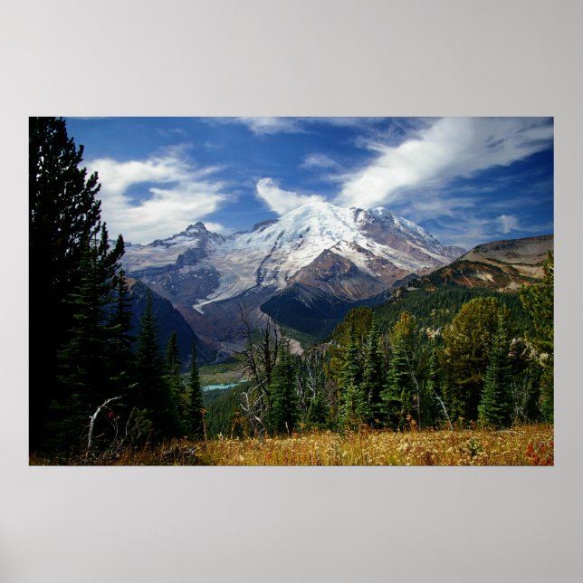 Sommer am Berg Rainier Poster (Vorne)