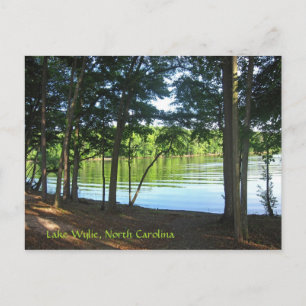 Sommer am Wylie See! Postkarte