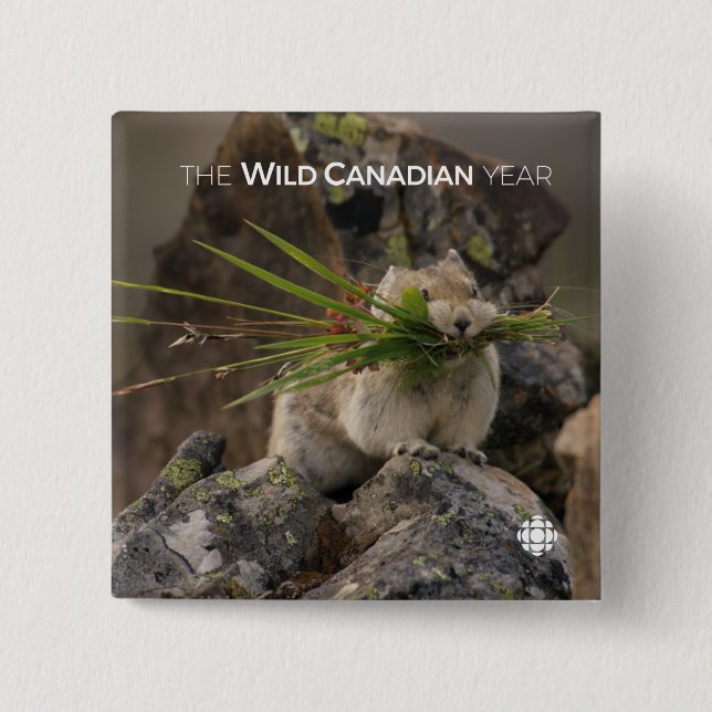 Sommer - Amerika - Pica Button (Vorderseite)