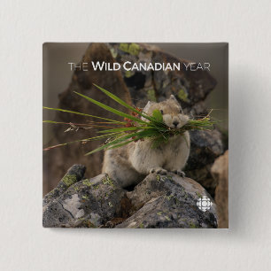 Sommer - Amerika - Pica Button