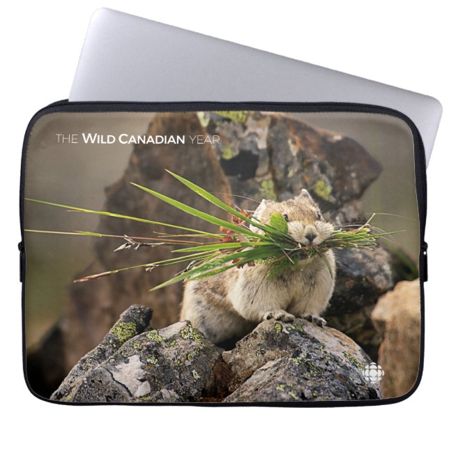 Sommer - Amerika - Pica Laptopschutzhülle (Vorderseite)