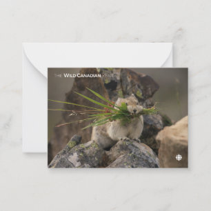 Sommer - Amerika - Pica Mitteilungskarte