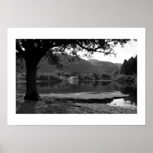 Sommer an der Strandshag-Bucht Poster