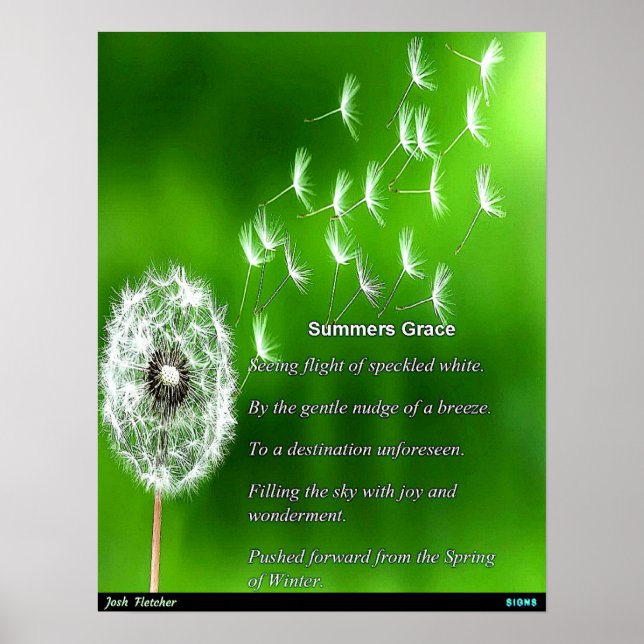 Sommer-Anmut Poster (Vorne)