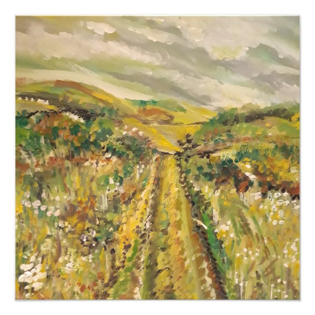 Sommer auf den Hügeln Fotodruck (Vorne)