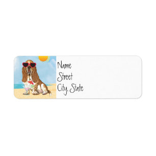 Sommer Basset Hound