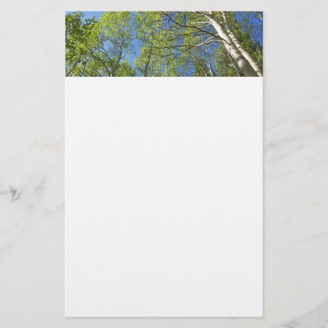 Sommer-Birken im Rocky Mountain Briefpapier (Vorderseite)