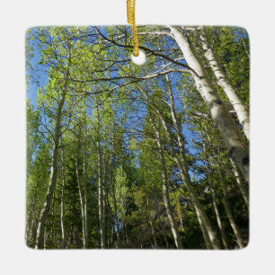 Sommer-Birken im Rocky Mountain Keramikornament