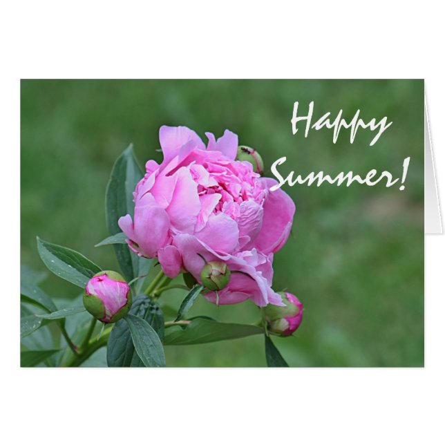 Sommer-Blumen-Foto (Vorderseite (Horizontal))