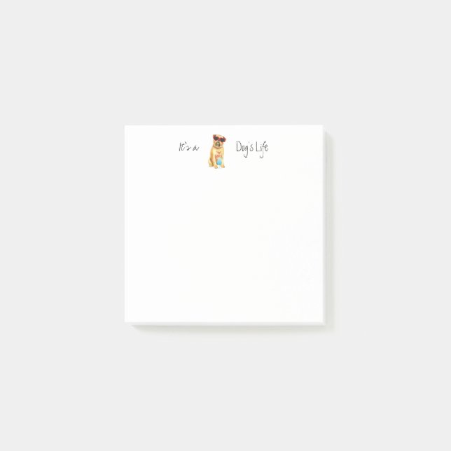 Sommer-Brüssel-Griffon Post-it Klebezettel (Vorderseite)