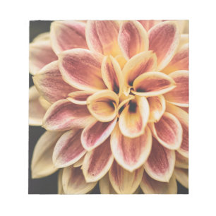 Sommer-Dahlie-Blume (Florale Kunst) Notizblock