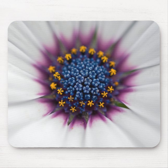 Sommer-Daisy Nahaufnahme Mousepad (Vorne)