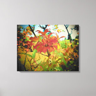 Sommer-Farben von Djoneill Leinwanddruck
