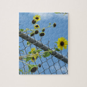 Sommer-Gänseblümchen-Puzzle Puzzle