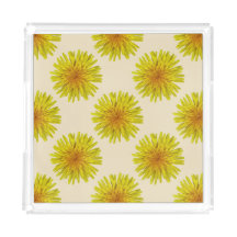 Sommer-gelbe Löwenzahn-Blume auf irgendeiner Farbe