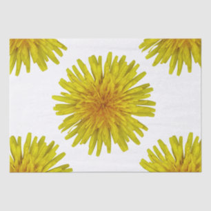 Sommer-gelbe Löwenzahn-Blume auf irgendeiner Farbe Seidenpapier