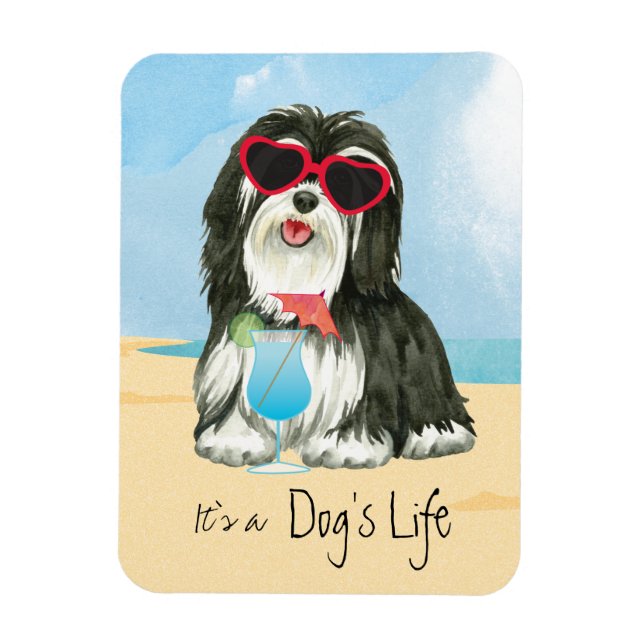 Sommer Havanese Magnet (Vertikal)