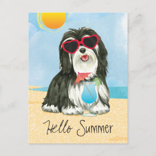 Sommer Havanese Postkarte