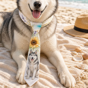 Sommer Husky Wasserfarben Krawatte