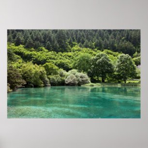 Sommer im Jiuzhaigou-Tal Poster