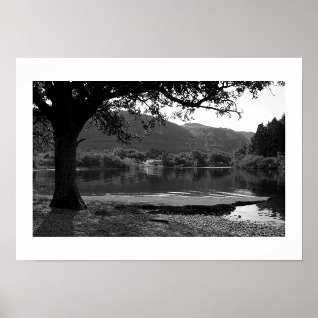 Sommer in der Strandshag Bay Poster (Vorne)