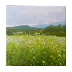 Sommer in Hälsingland - Helsingia Fliese
