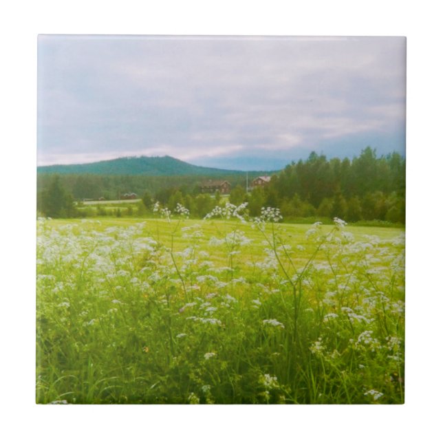 Sommer in Hälsingland - Helsingia  Fliese (Vorderseite)