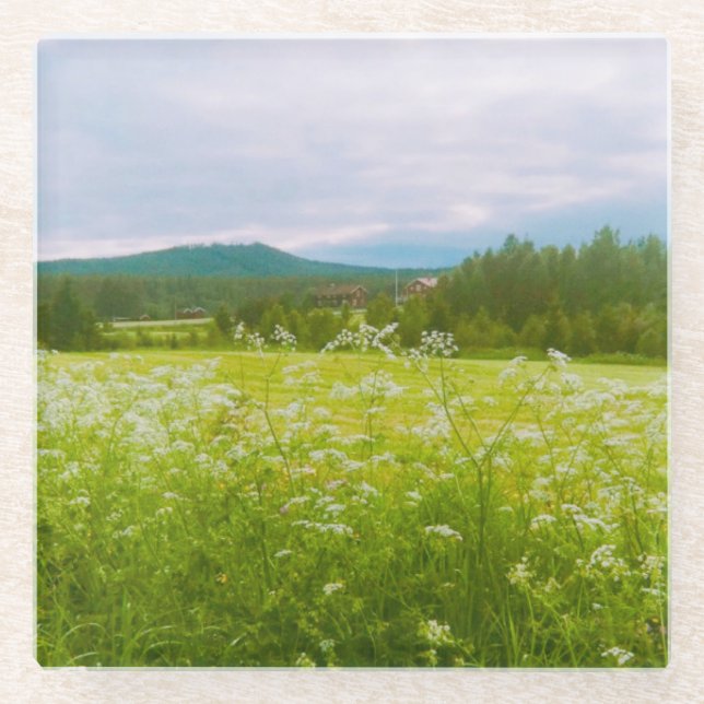 Sommer in Hälsingland - Helsingia  Glasuntersetzer (Vorderseite)