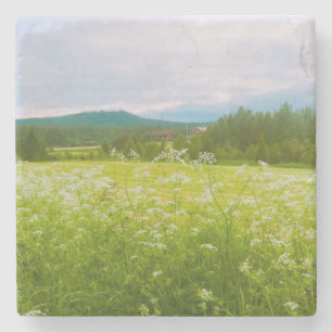 Sommer in Hälsingland - Helsingia Steinuntersetzer