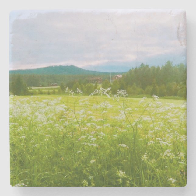 Sommer in Hälsingland - Helsingia  Steinuntersetzer (Vorderseite)