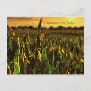 Sommer in Iowa Postkarte