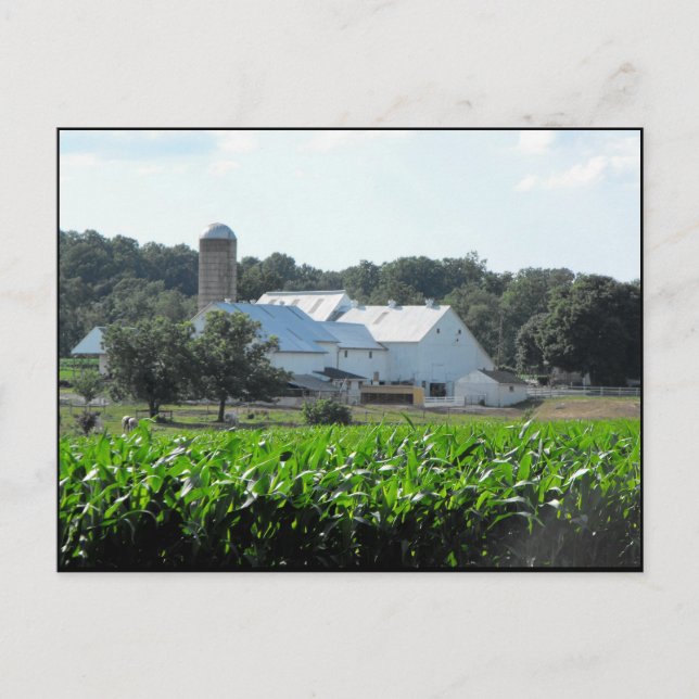 ~ Sommer in Lancaster Landkreis ~ 46 Postkarte (Vorderseite)