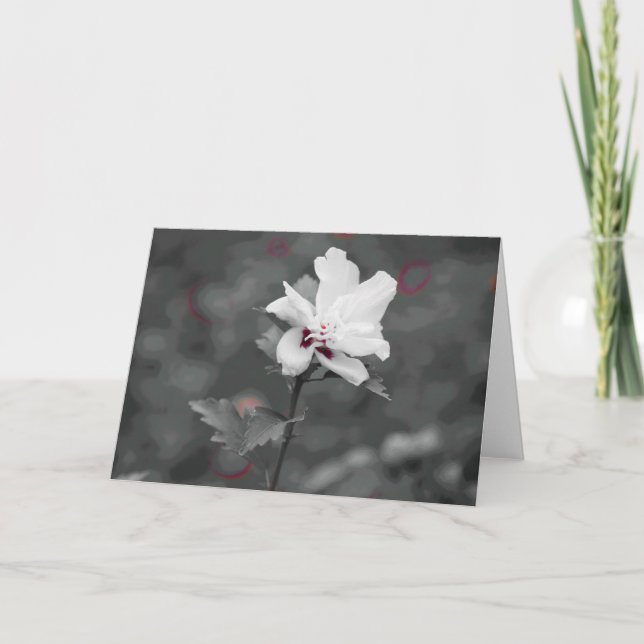 Sommer Karte (Vorderseite)