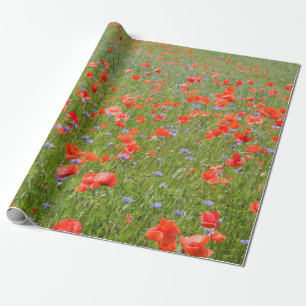 Sommer Mohnblumen und Cornflowers Geschenkpapier