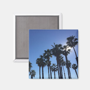 Sommer-Ozean-Palmen Blaue Farbphotographie Magnet