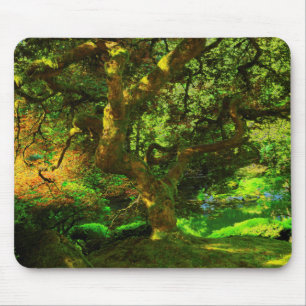 Sommer, Portland Japanese Garden, Portland Mousepad