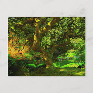 Sommer, Portland Japanese Garden, Portland Postkarte