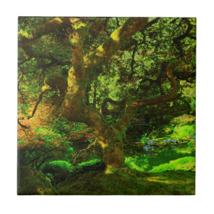 Sommer, Portland Japanischer Garten, Portland Fliese