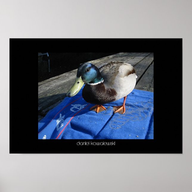 Sommer Poster (Vorne)