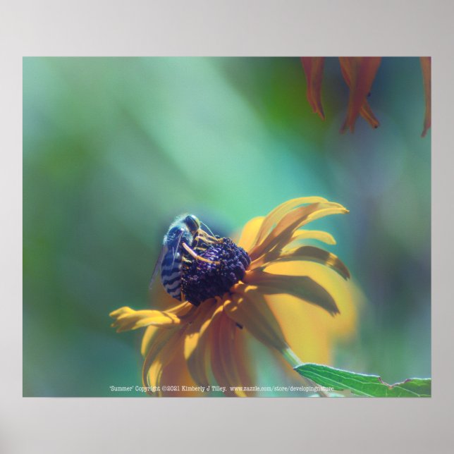 Sommer Poster (Vorne)