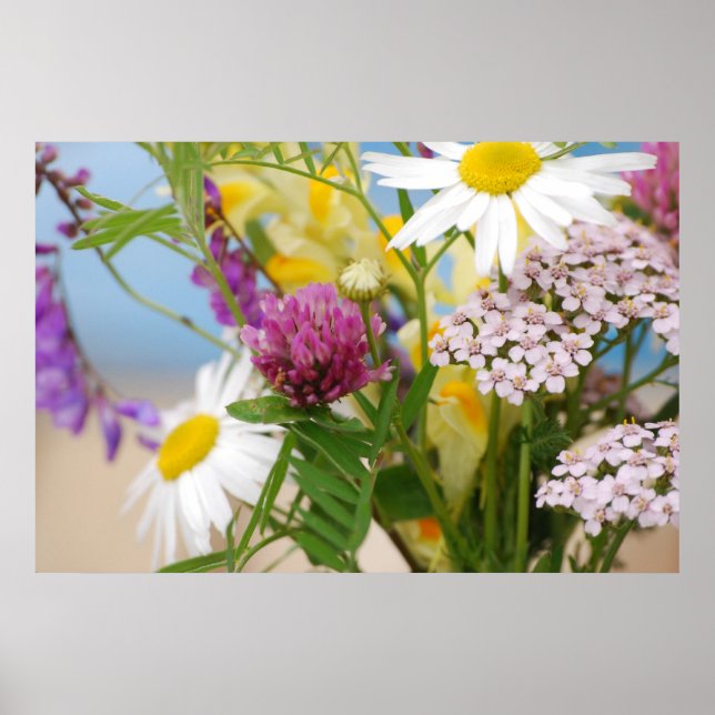 Sommer Poster (Vorne)