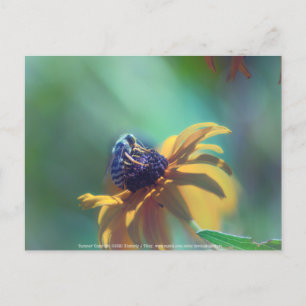 Sommer Postkarte