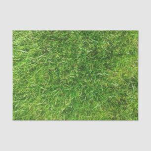 Sommer-Rasen Seidenpapier