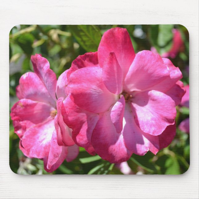 Sommer-Rosen Mousepad (Vorne)