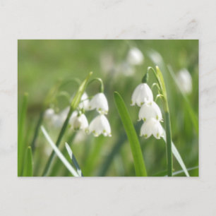 Sommer-Schneeflocken DIY Postkarte