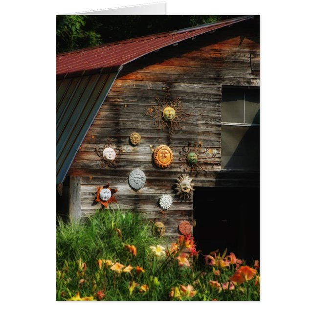 Sommer-Sonnen (Vorne)