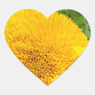 Sommer Sonnenblumen Aufkleber Herzform individuell