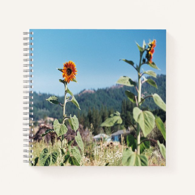 Sommer Sonnenblumen...... Notizbuch (Vorderseite)